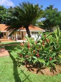 Guest House La Casa de James y Rafa Tropical Garden Guest House La Casa de James y Rafa Tropical Garden
